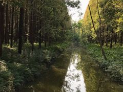 -黄海国家森林公园