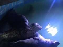 -大明湖海底世界