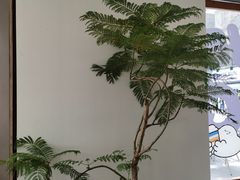 -有趣人类咖啡(永庆坊店)