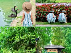 -乌村