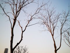 -上海山野camping·户外天幕烧烤·团建拓展营地