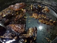 -南花桥羊肉馆老字号(乌镇店)