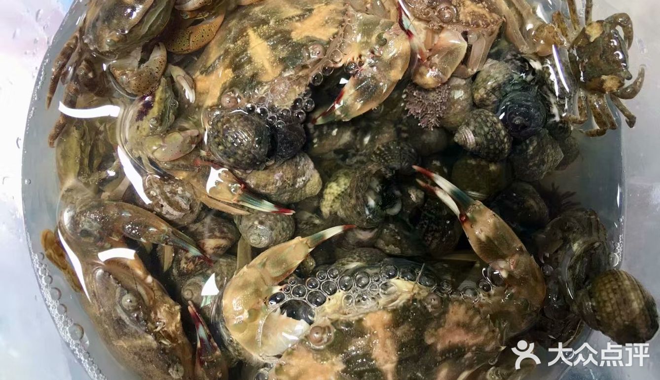 瓦房店大排石赶海