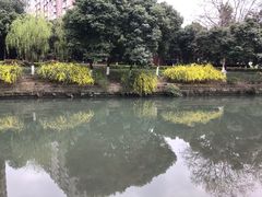 -沙河三洞古桥公园