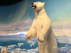 -陕西自然博物馆