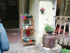 -猫色咖啡·猫咖
