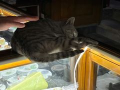 -和顺古镇
