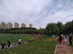 -丁香湖公园