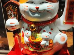 -梵猫·新养生(南坪万达店)