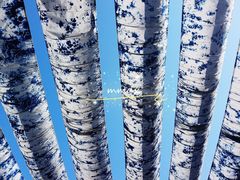 -璞真扎染博物馆