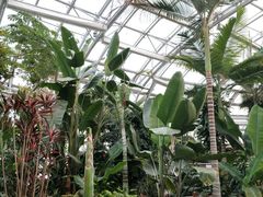 -北京植物园-展览温室