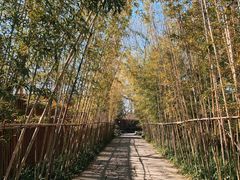 -新荣记(西溪湿地店)