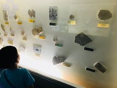 -上海昆虫博物馆