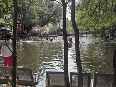 -大鹅岛绿色生态美食园