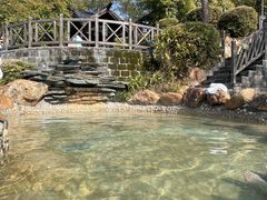 -崇阳三特浪口温泉