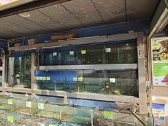 -龙溪海鲜酒家(溪涌店)