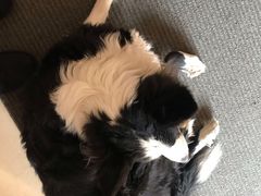 -哈尔滨北方国际青年旅舍(中央大街店)