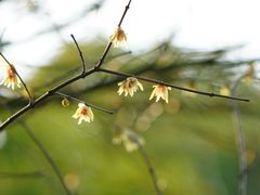 -吴淞炮台湾湿地森林公园烧烤区