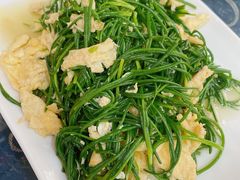 -靖远尕六美味羊羔肉