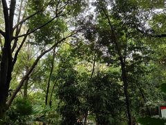 -成都市活水公园