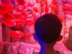 -泉城欧乐堡海洋极地世界