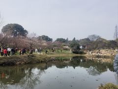 -无锡梅园公园