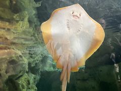 -珠海长隆海洋王国