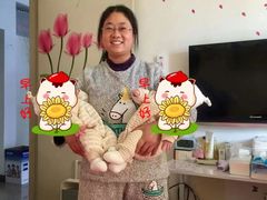 -成都阿姨到家月嫂育儿嫂(华西店)