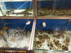 -华润万家(凯德广场店)