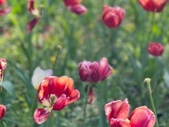 -浙江西子宾馆·瑶园咖啡厅