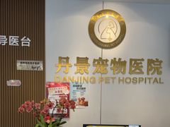 -丹景宠物医院·全科·老年病·牙科(武昌诊疗中心)
