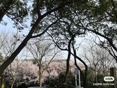 -渤公岛生态公园