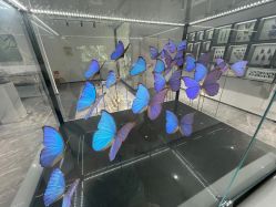 -酷嗒动物文化乐园(cutezoo西溪乐天城店)