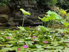 -广州神农草堂中医药博物馆