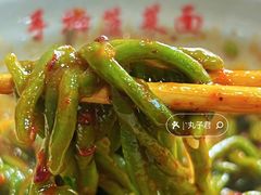 油泼面-手擀菠菜面(西康路店)