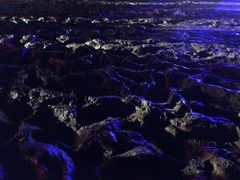-东方绿舟景区