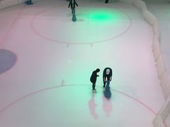 -TheRink大零溜冰场(IFS国金中心店)