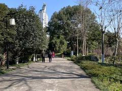 -大渡口区义渡公园