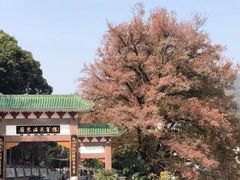 -广东温泉宾馆