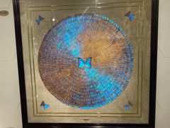 -上海昆虫博物馆