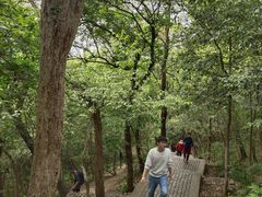 -紫金山山顶公园
