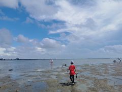 -北海金海湾红树林生态旅游区