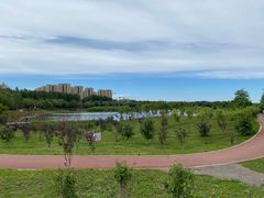 -丁香湖公园