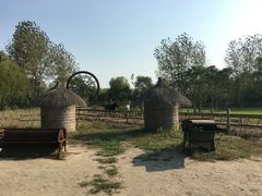 -溱湖国家湿地公园