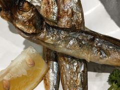 -新一番三文鱼寿司(红城湖店)