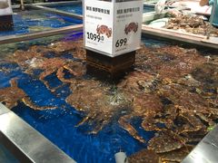 -盒马鲜生(红莲店)