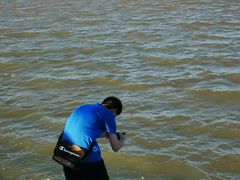 -碧海金沙