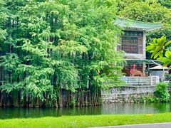 -荔湾湖公园
