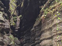 -梭布垭石林景区