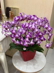 -美肤盾祛痘·问题肌头疗管理中心